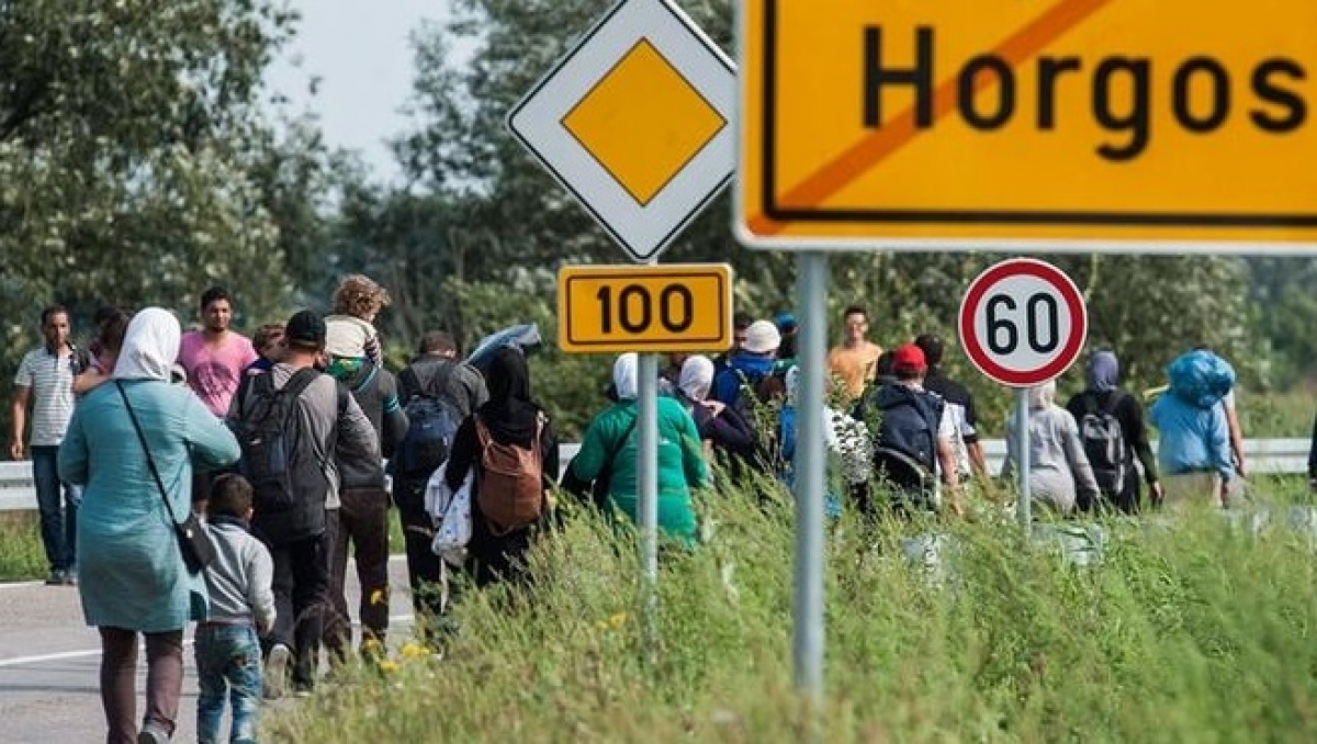Đụng độ gần biên giới Serbia-Hungary, 8 người di cư thương vong
